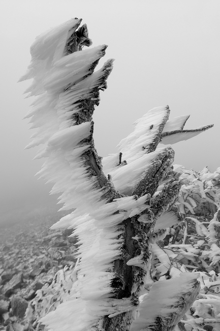 glaces_2022-11-20.JPG